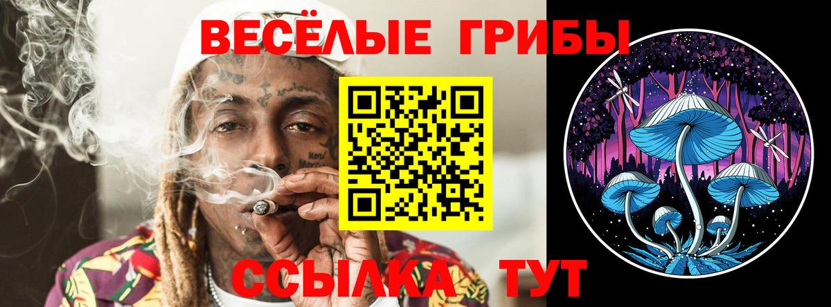Псилоцибиновые грибы Psilocybine cubensis Кстово